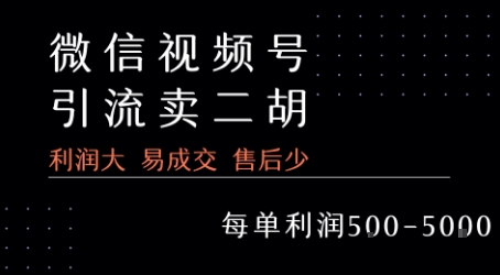 视频号卖二胡教程，利润大 易成交 售后少，一单利润5张+-润泽资源库