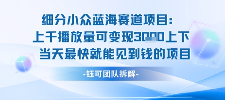 小众蓝海赛道项目：当天变现1k+适合新手操作 +适合长期玩-润泽资源库