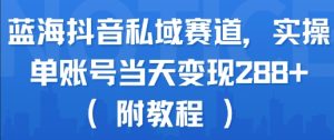 蓝海抖音私域赛道，实操单账号当天变现288+(附教程)-润泽资源库