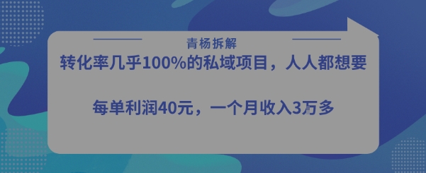 转化率最高的私域项目，每单利润40-50米，月入过1w-润泽资源库