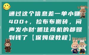 通过这个信息差一单小挣4张+，拉布布搬砖，闷声发小财抓住商机的都挣到钱了【保姆级教程】-润泽资源库