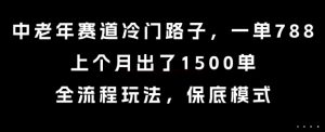 中老年赛道冷门路子，一单788，上个月出了1500单，全流程玩法，保底模式【揭秘】-润泽资源库