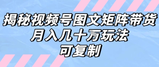 解密视频号图文矩阵带货，月入几个W的打法，可复制-润泽资源库
