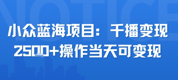 小众蓝海项目，千播变现2.5k+操作当天可变现-润泽资源库
