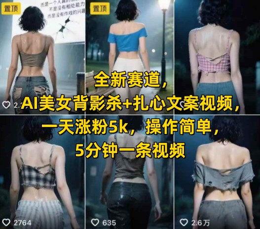 全新赛道，AI美女背影杀+扎心文案视频，一天涨粉5k，操作简单，5分钟一条视频-润泽资源库