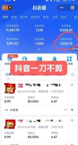 抖音短视频一刀不剪带货,不剪辑,不直播,每天发个视频,等着出单获取带货佣金-润泽资源库