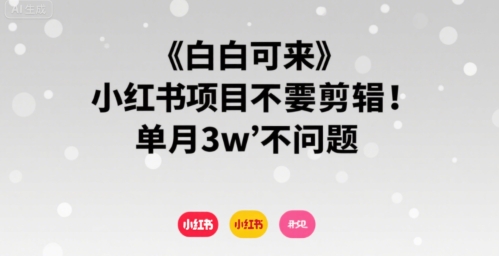 小白可来 小红书项目不需要剪辑 单月3w不是问题-润泽资源库
