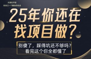 25年,你还在疯狂的找项目吗?别傻了,看完这个你都懂了【揭秘】-润泽资源库