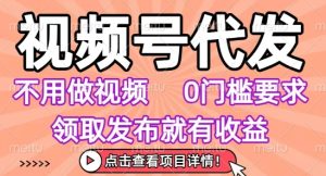 视频号代发，不用剪辑不用做视频，0门槛要求，领取发布就有收益，任务没有无上限，小白轻松上手【揭秘】-润泽资源库