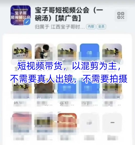 宝子哥头部团队短视频带货，以混剪为主，不需要真人出镜，不需要拍摄【更新8月】-润泽资源库