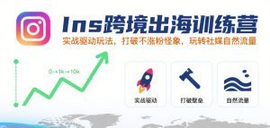Ins跨境出海训练营,实战驱动玩法,打破不涨粉怪象,玩转社媒自然流量-润泽资源库