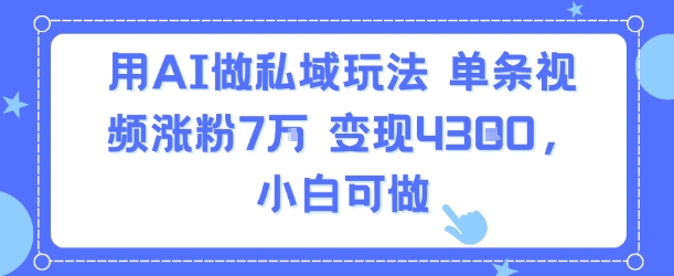 用AI做私域玩法，单条视频涨粉7W变现4.3k，小白可做-润泽资源库