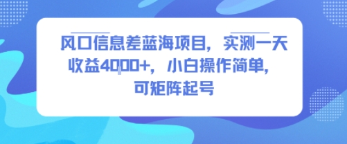 风口信息差蓝海项目，实测一天收益4k+，小白操作简单，可矩阵起号-润泽资源库