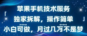 苹果手机技术服务，独家拆解，操作简单，小白可做，月过1W不是梦-润泽资源库