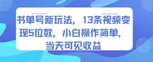 书单号新玩法，13条视频变现5位数，小白操作简单，当天可见收益-润泽资源库