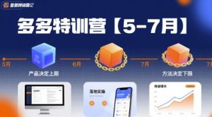 多多特训营【5-7月】产品决定上限,方法决定下限,各种玩法技巧落地实操-润泽资源库