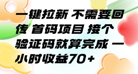 一键拉新 不需要回传 首码项目 接个验证码就算完成 一小时收益70+【揭秘】-润泽资源库