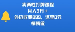 卖两性打牌课程，月入3W+外边收费899的课程，这里0元，悄悄做-润泽资源库