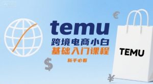 temu跨境电商小白基础入门课程，新手必看-润泽资源库