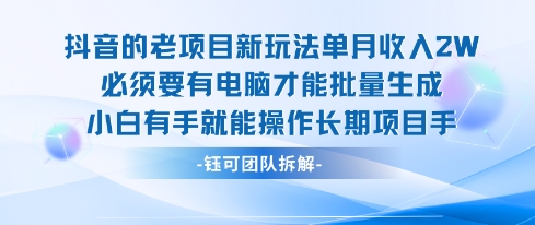 老项目新玩法单月收入2W小白有手就能操作长期项目-润泽资源库