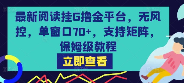 最新阅读挂G撸金平台，无风控，单窗口70+，支持矩阵，保姆级教程【揭秘】-润泽资源库