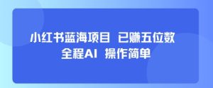 小红书蓝海项目，全程AI，操作简单，已挣五位数-润泽资源库