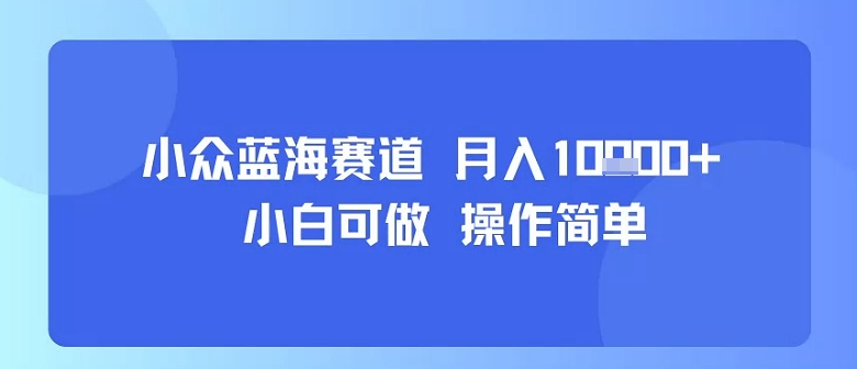 小众蓝海赛道，小白可做，操作简单，每天30分钟，月入1W+-润泽资源库