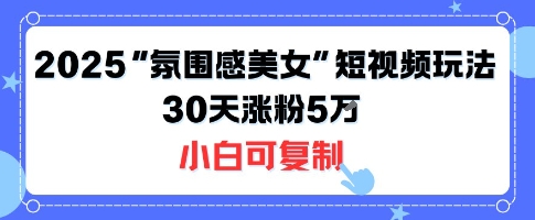 不露脸也能火！2025“氛围感美女”短视频玩法，30天涨粉5W小白可复制-润泽资源库
