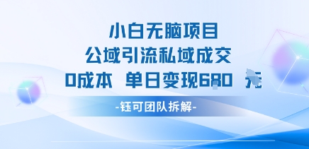 小白无脑项目公域引流私域成交0成本单日变现680米-润泽资源库