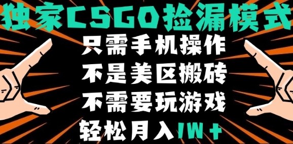 CSGO自动捡漏项目，最新独家玩法，不是美区搬砖，不需要了解和玩游戏，新手小白轻松月入1W+【揭秘】-润泽资源库