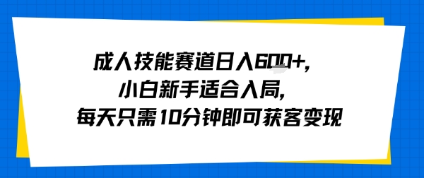 成人技能赛道日入多张，小白新手适合入局，每天只需10分钟即可获客变现-润泽资源库
