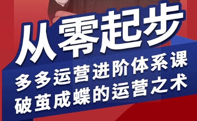 拼多多运营进阶系统课，从零起步，多多运营进阶体系课，破茧成蝶的运营之术-润泽资源库