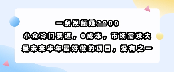 一条视频挣1k，小众冷门赛道，0成本，市场需求大，是未来半年最好做的项目，没有之一-润泽资源库