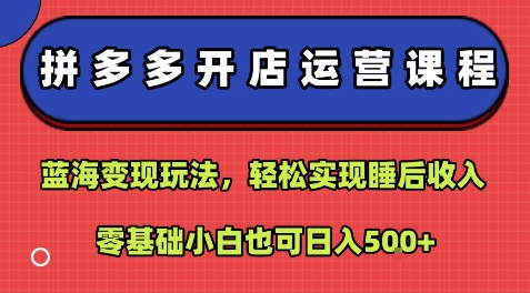 拼多多开店运营课程：蓝海变现玩法，轻松实现睡后收入，零基础小白也可日入5张-润泽资源库