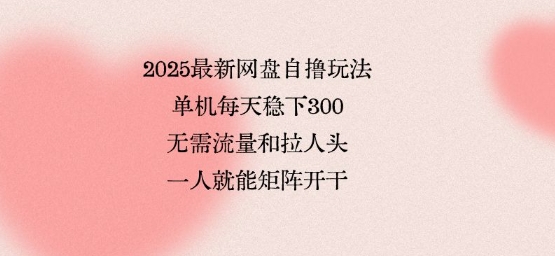 2025最新网盘自撸玩法，单机每天稳下3张，无需流量和拉人头，一个人就可轻松矩阵，全网独一份【揭秘】-润泽资源库