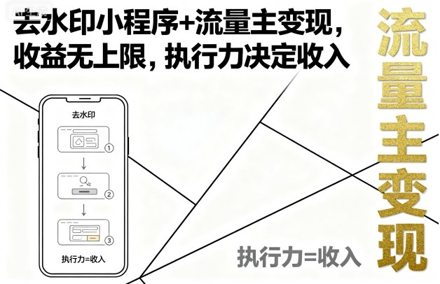 去水印小程序+流量主变现，收益无上限，执行力决定收入-润泽资源库