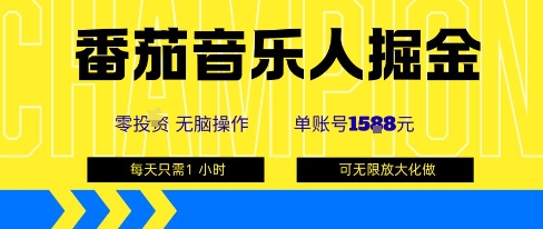 番茄音乐人掘金，单账号最高可撸1k+，可无限矩阵去做，零投入-润泽资源库