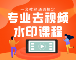 专业去视频水印教程 静态水印、动态水印、文字水印、图片水印一套教程通通搞定-润泽资源库
