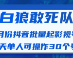 白狼敢死队最新抖音短视频批量起影视号（一天单人可操作30个号）视频课程-润泽资源库