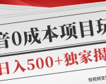 短视频变现套路剖析，抖音0成本赚钱项目玩法，日入500+独家揭秘（共2节视频）-润泽资源库