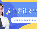 某站内部课程：淘宝客社交电商裂变，精准引流和粉丝裂变模式详解（共6节视频）-润泽资源库