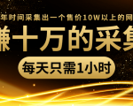 年赚十万的采集站,每天却只需要1小时,一年时间采集出一个售价10W以上的网站-润泽资源库