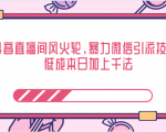 抖音直播间风火轮,暴力微信引流技术,低成本日加上千法-润泽资源库