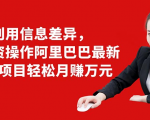利用信息差异，零投资操作阿里巴巴最新管道项目轻松月赚10000+-润泽资源库