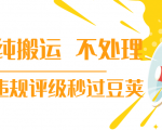 抖音纯搬运 不处理 小技巧，30秒发一个作品，避免违规评级秒过豆荚-润泽资源库