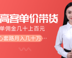 抖音高单价带货项目，一单佣金几十上百元，核心套路月入几十万（共3节）-润泽资源库