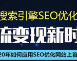 SEO搜索引擎优化总监实战VIP课堂【透析2020最新案例】快速实现年新30W-润泽资源库