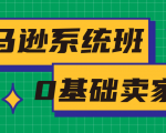 亚马逊系统班,专为0基础卖家量身打造,亚马逊运营流程与架构-润泽资源库