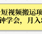 操作性非常强的头条号短视频搬运项目,3分钟学会,轻松月入8000+-润泽资源库