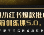 小红书爆款推广引流训练课5.0,手把手带你玩转小红书(17节实操视频+话术)-润泽资源库